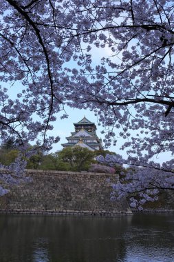 Osaka Kalesi ve Sakura City Osaka, Osaka ili, Kansai, Japonya