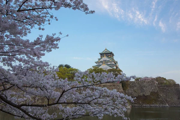 Osaka Castle Sakura Osaka City Osaka Prefecture Kansai Japan — Stock Photo, Image