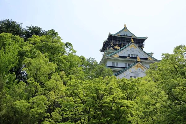 Fresh Green Osaka Castle Osaka Castle Park Osaka City Osaka — Stock Photo, Image