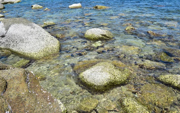 Taş ve mercan Tayland Koh Chang Adası'nda açık deniz altında