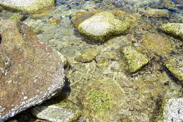 Taş ve mercan Tayland Koh Chang Adası'nda açık deniz altında