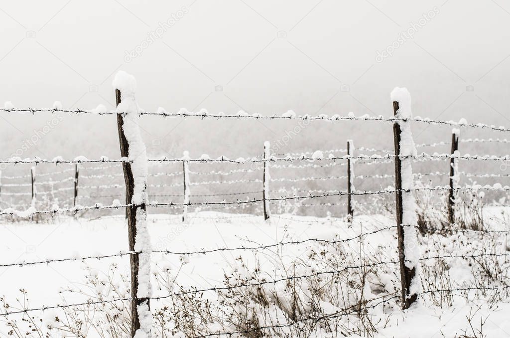 Protective barbed wire fence on a pasture with a snowy background
