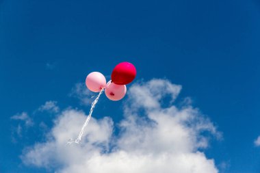 Renkli balon üzerinde gökyüzü sinek