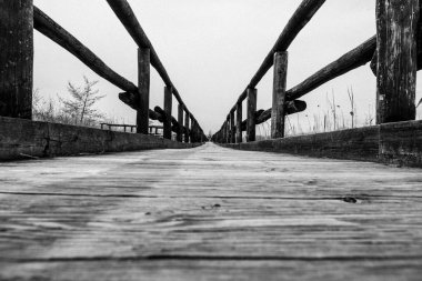 İskele, doğal rezerv