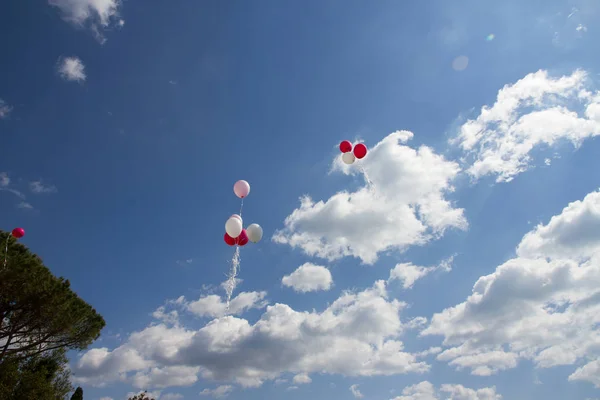 Coloured balloons fly over the sky