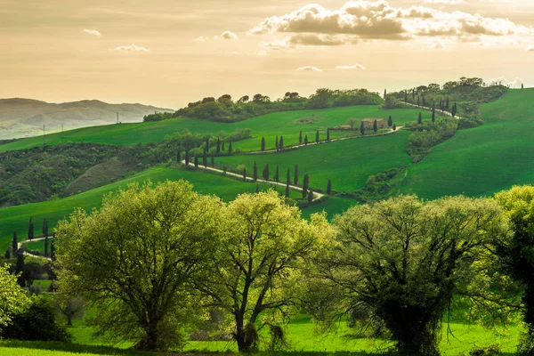 Val D' Orcia の糸杉と有名な曲がりくねった道 — ストック写真