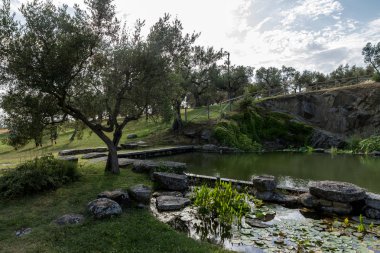 Isola Polvese: Su nilüferler göl