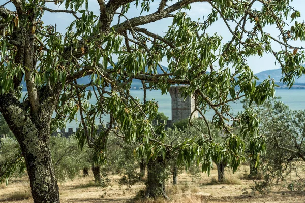 Isola Polvese: Castello — Fotografia de Stock