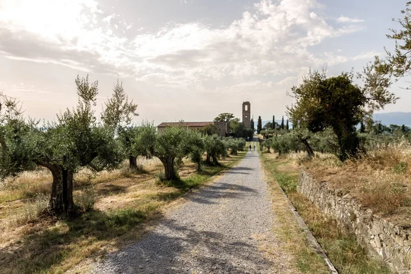 Isola Polvese: Abadia — Fotografia de Stock