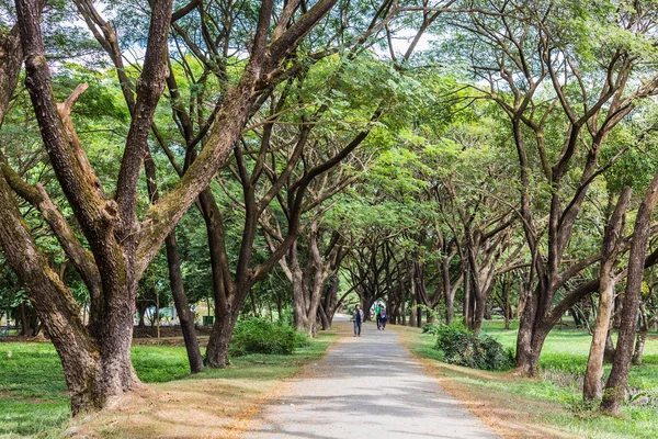 Nationalrennen Dorfpark Yangon in Myanmar — Stockfoto