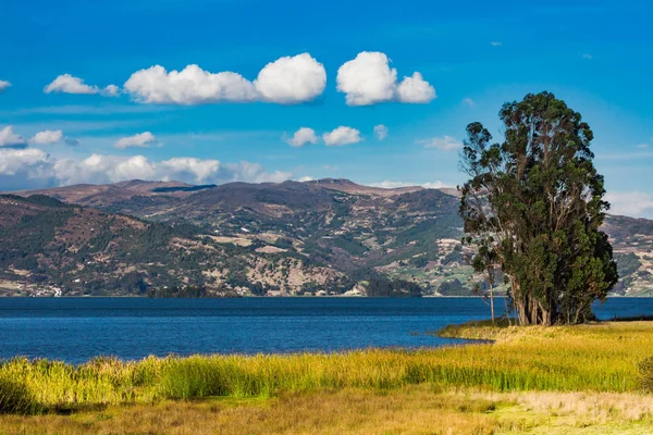 Laguna de Tota Lago Boyaca Colombia —  Fotos de Stock