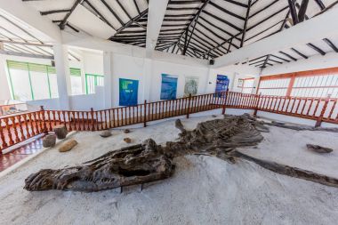 Müze Del Fosil dinozor fosil müzesi Villa de Leyva Boyaca Col