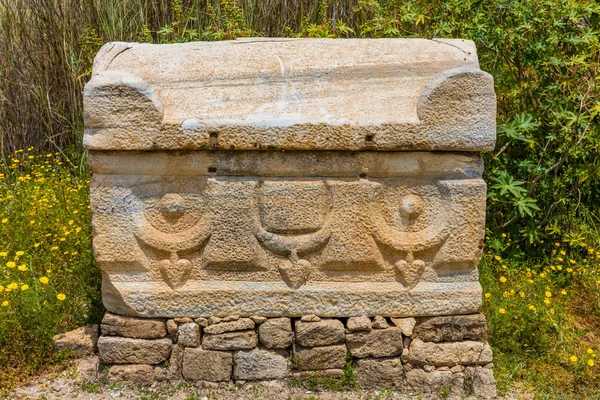 Lastik Sur Güney Lübnan al-Bass arkeolojik Site — Stok fotoğraf
