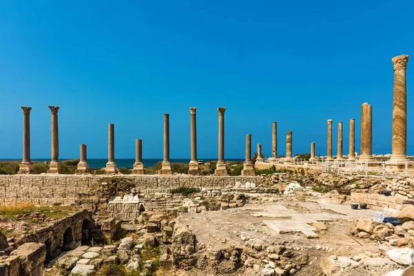 Romános ruinas Tiro Sur Líbano del Sur — Foto de Stock