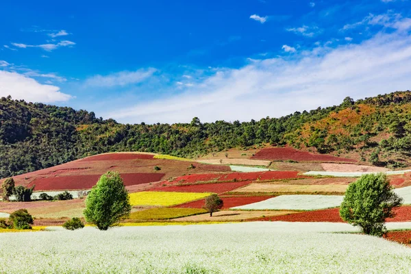 Campi paesaggistico stato Shan Myanmar — Foto Stock