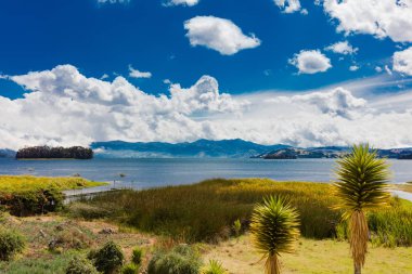 Laguna de Tota Gölü Boyaca Kolombiya