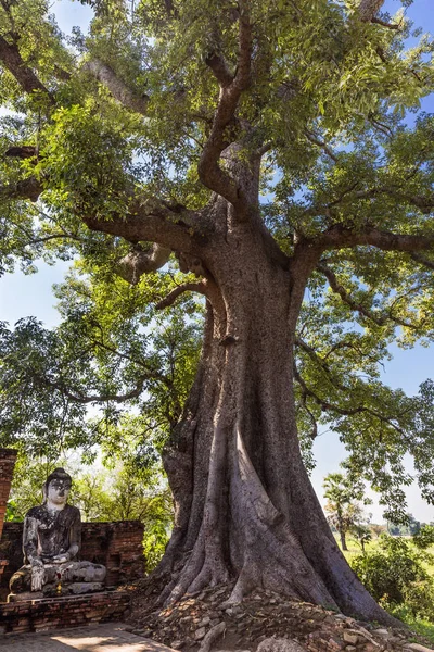 Ava Mandalay devlet Myanmar — Stok fotoğraf