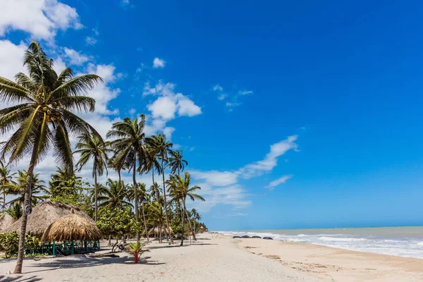 Palomino strand landschappen La Guajira, Colombia — Stockfoto