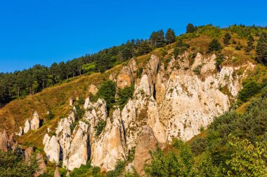 Kaya Ormanı Zangezur Dağları Goris Syunik Ermenistan dönüm noktası