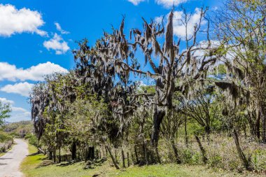 Reserva natural Miraflor Esteli Nicaragua