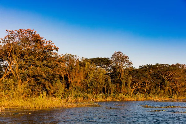 Las isletas de Granada Nicaragua lake landscapes — Stock fotografie