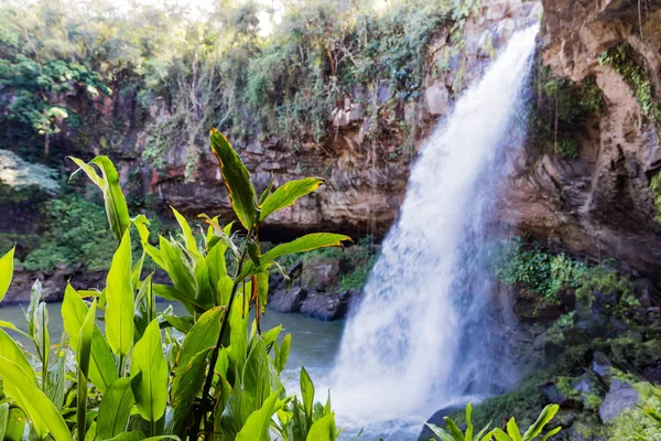 Cascada blanca cascata Matagalpa Nicaragua — Foto Stock