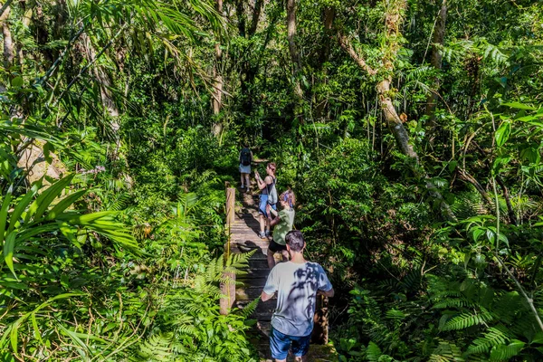 Tourists trekking track Mombacho Volcano Granada Nicaragua — 스톡 사진