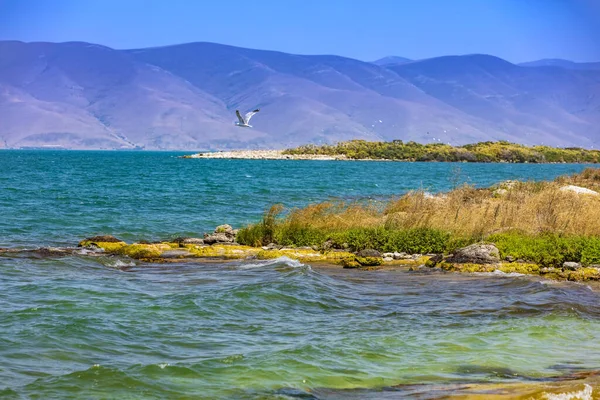 Lake Sevan panorama landscape Gegharkunik Armenia landmark — ストック写真