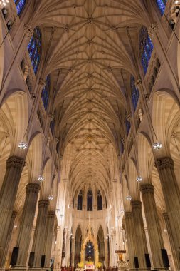 St. Patricks Katedrali New York City ABD 'nin Tarihi Simgeleri