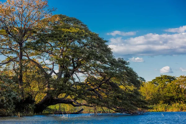 Las isletas de Granada Lago de Nicaragua — Foto de Stock