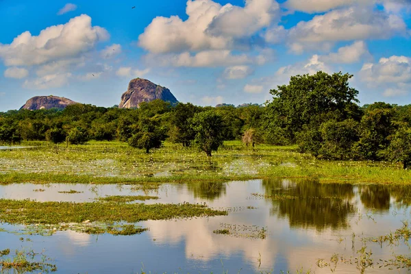 Parque Nacional Yala paisaje Sri Lanka Ceilán — Foto de Stock