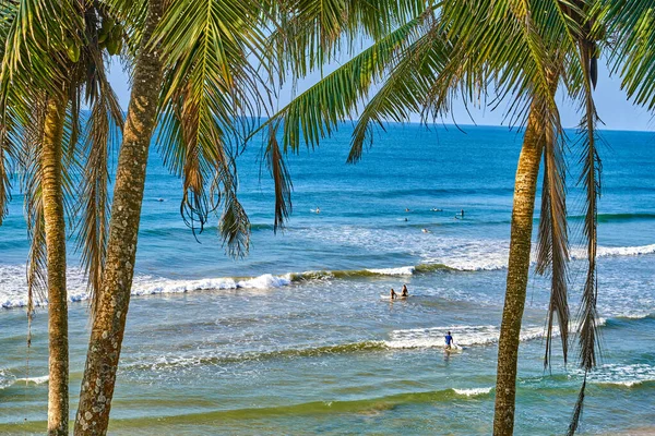 Surfeurs turísticos Palmeras Lakshawaththa Beach Matara Sri Lanka Ceilán — Foto de Stock