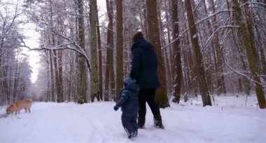 Annesiz bir çocuk ve bir köpek (Labrador) ile ormana doğru yürür kışın, tüm beyaz kar ve ağaçlar.