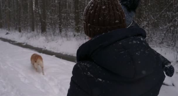 Una Madre Con Niño Perro Labrador Pasea Por Bosque Invierno — Vídeos de Stock