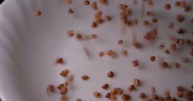 Karabuğday beyaz bir plaka üzerine düşüyor