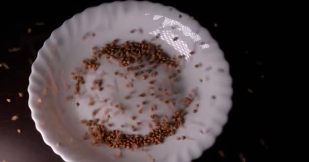 荞麦落在白色的盘子上 黑色的背景 — 图库视频影像