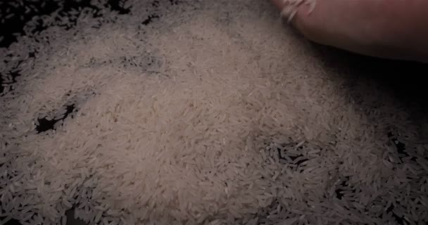 Siyah Zemin Üzerinde Beyaz Pirinç — Stok video