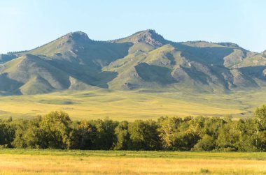 güneşli yaz peyzaj