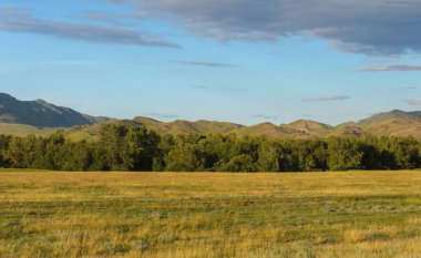 güneşli yaz peyzaj
