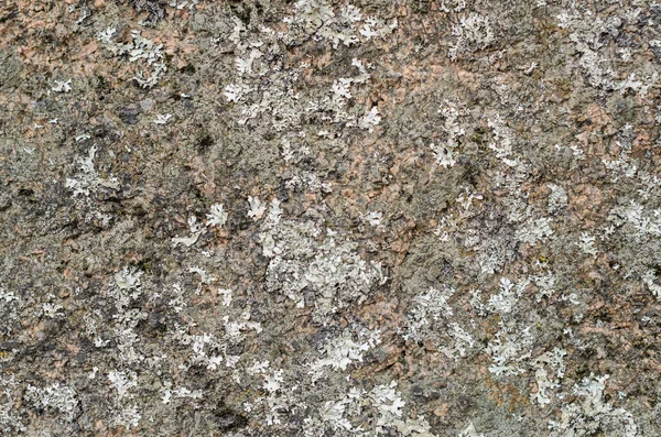 granit taşın dokusu