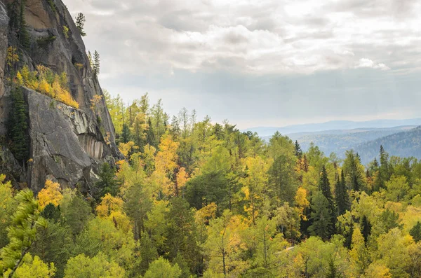 View of autumn golden fores — Stock Photo, Image