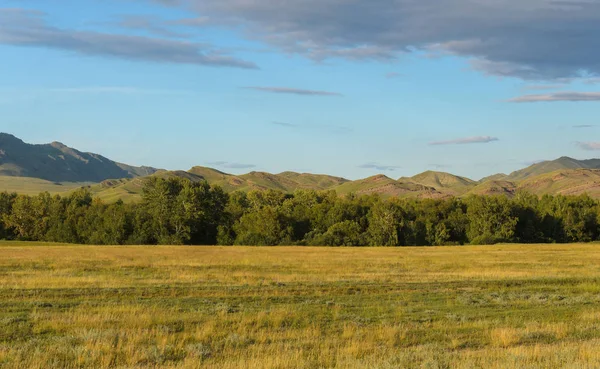 güneşli yaz peyzaj