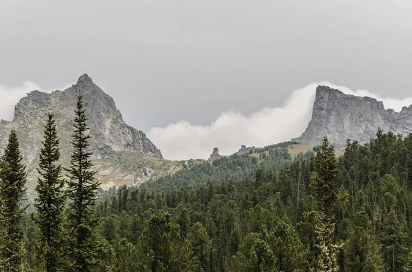Sisli bir manzara, uçurumlar, ormanın bir görünümünü