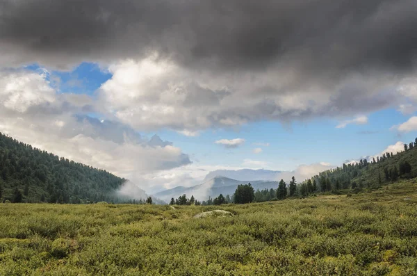 Een mistige landschap, een weergave van de kliffen, het bos — Stockfoto