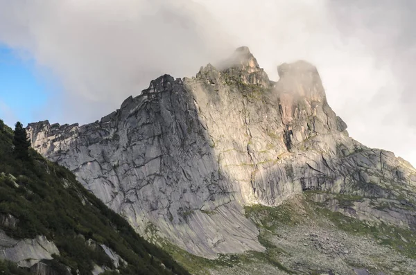 A ködös táj, kilátással a sziklák az erdő — Stock Fotó