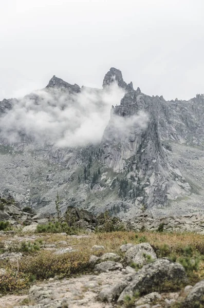 Un paesaggio nebbioso, una vista sulle scogliere, la foresta — Foto Stock