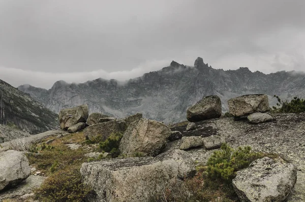 Eine neblige Landschaft, ein Blick auf die Klippen, den Wald — Stockfoto