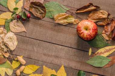 Çerçeve kurullarında parlak sonbahar yaprak