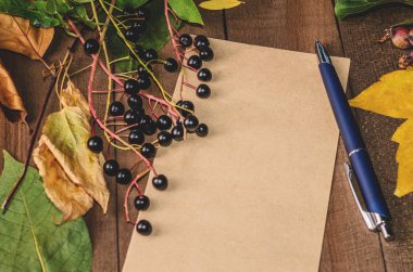 Boş bir sayfa ile kurullarında çerçevesi parlak sonbahar yaprakları