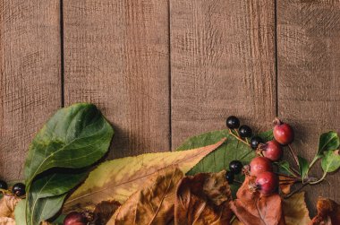 Parlak sonbahar yaprak çerçeve